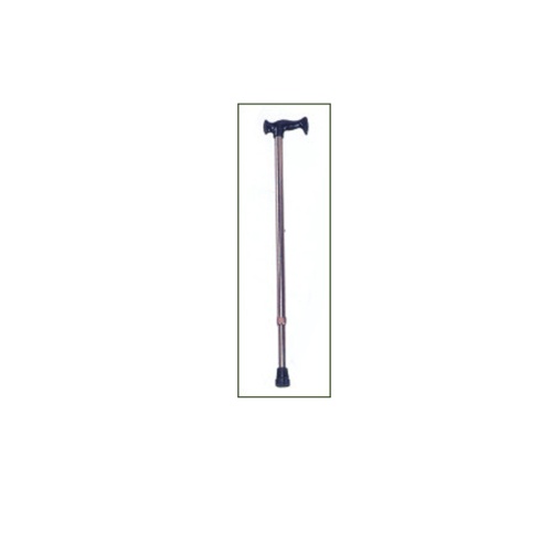 Cane with T grip--2