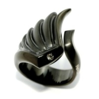 Stainless Steel Ring