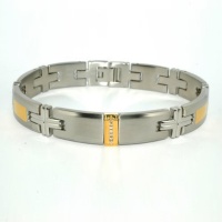 Titanium 18k Gold Bracelet