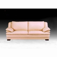 Leather Sofas