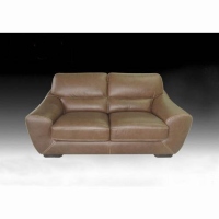 Leather Sofas