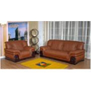 Leather Sofas