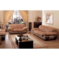 Leather Sofa