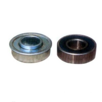 Bearing Rim