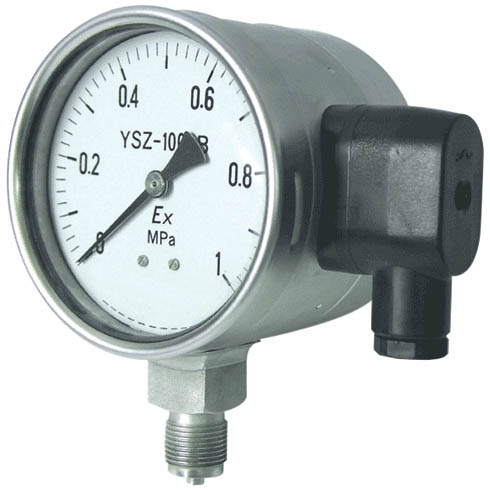 Pressure Gauges