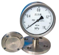 Pressure Gauges