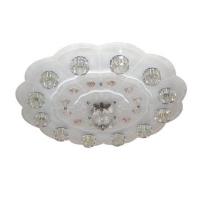 Ceiling Lamp