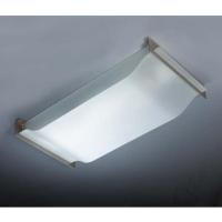 Satin Nikel Ceiling Lamp