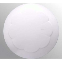 Acrylic Flush Mounted Ceiling Lamp