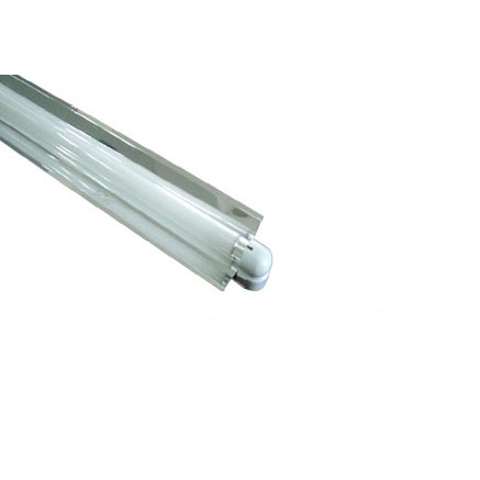 Fluorescent Lamp