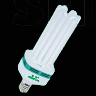 Energy Saving Lamps