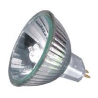 Halogen Lamp