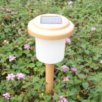 Solar Torch Light