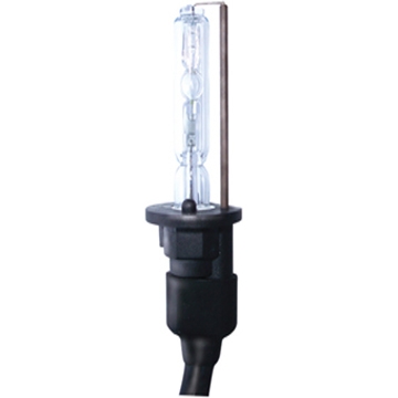 Xenon Bulbs