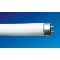 T8 (Effective) Straight Tubular Fluorescent Lamps