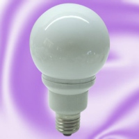 LED Bulb Light