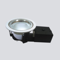 Reflector Down Light