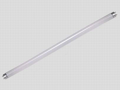 Fluorescent Lamp