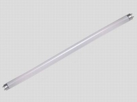 Fluorescent Lamp