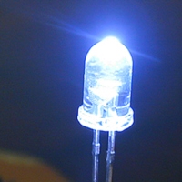 White Light Phi 5 Series (Round Head)