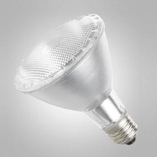 Metal Halide Lamp