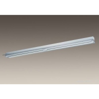 Fluorescent in-Line Batten Security