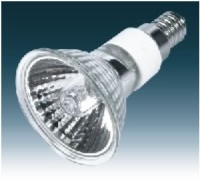 Halogen Lamp