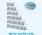 LED Lamps