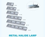 LED Lamps