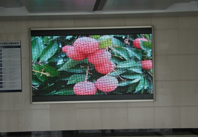 Display Screen