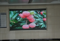 Display Screen 