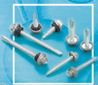 SS CAP SCREWS