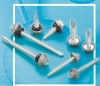 SS CAP SCREWS