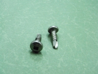 Self Drilling Screw