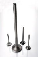 Engine Valve