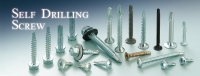 Self Drilling Screw