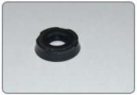 Gas Spring Seals