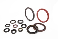 Rotary Seals