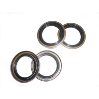 Oil Seals