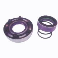 Oil Seals