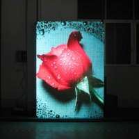 Indoor Virtual Full-color Display 