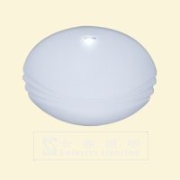 Ceiling Light 