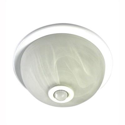 Ceiling Light