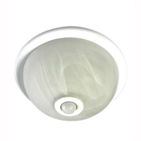 Ceiling Light