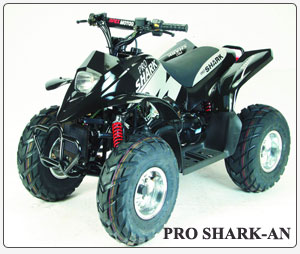 Pro Shark-an Model