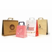 Paper Shopping Bag with Folded Flat Paper Handle