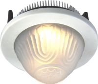 LED Recessed Down Light