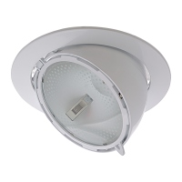 Metal Halide Downlight