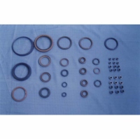 Oil Seals