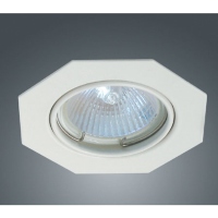 Ceiling Light